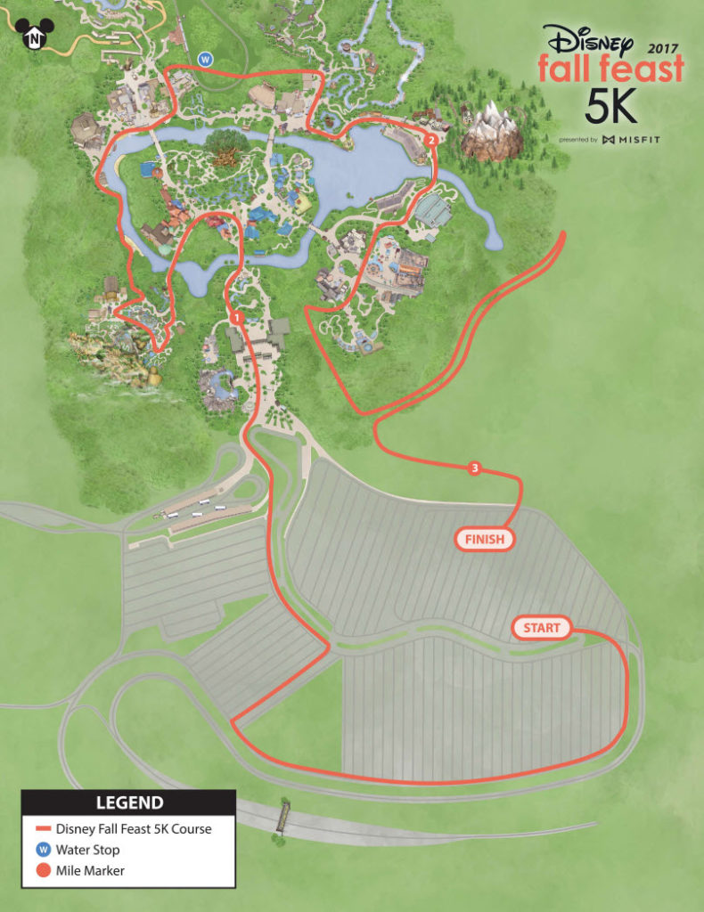Walt Disney World Resort - Wine and Dine 5k 2017