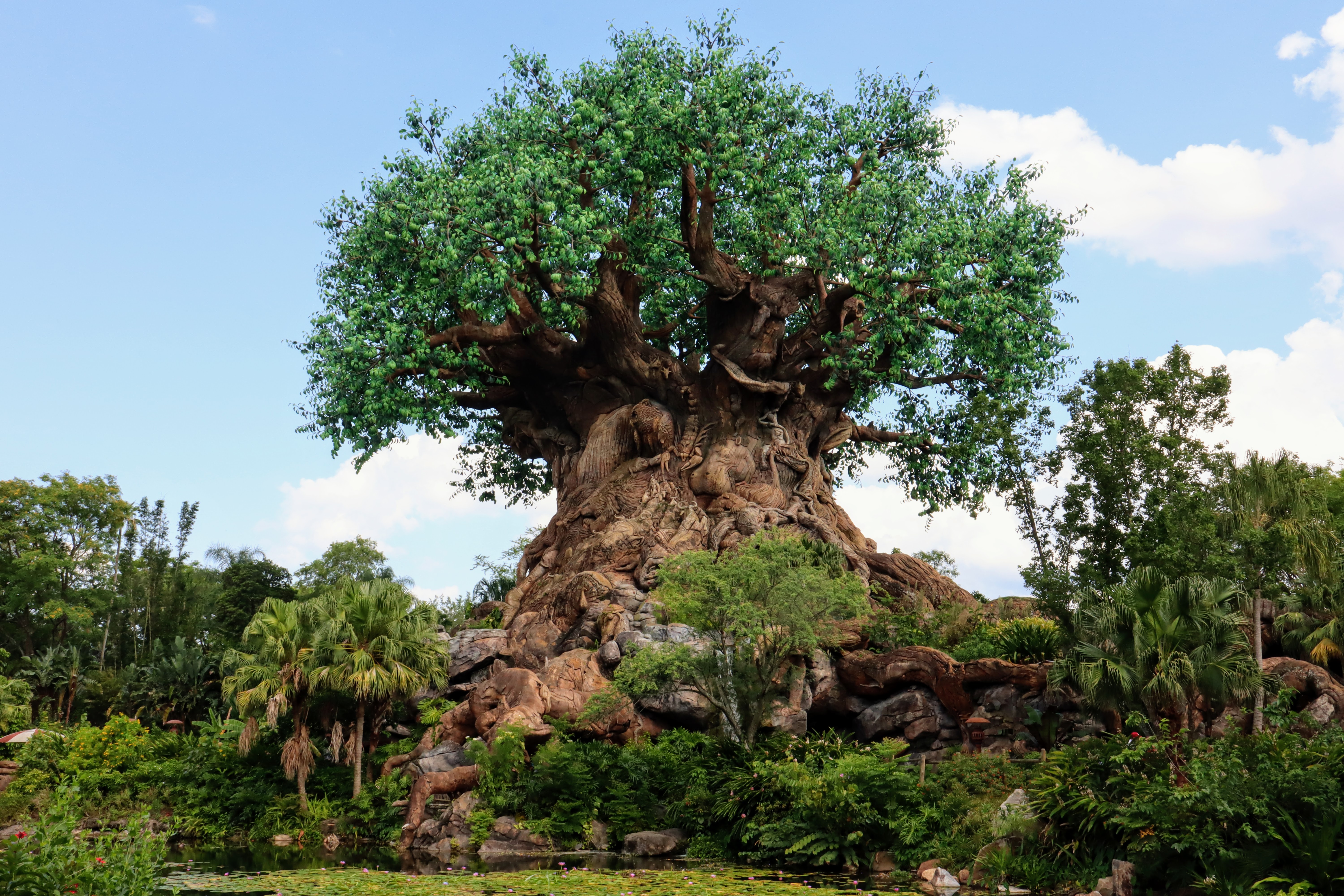 Animal Kingdom - Tree of Life